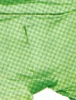 Close-up of Ben Stiller's green BVDs