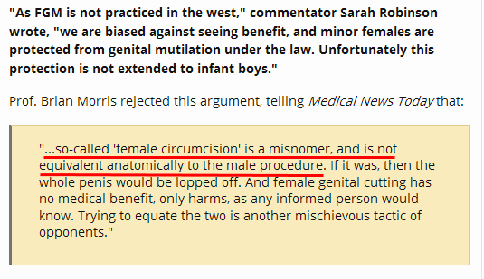 Morrs: so-called 'female circumcision' is a misnomer