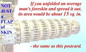 5''x3'' postcard - area of unfolded foreskin