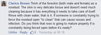"Think of the foreskin as a rosebud...."